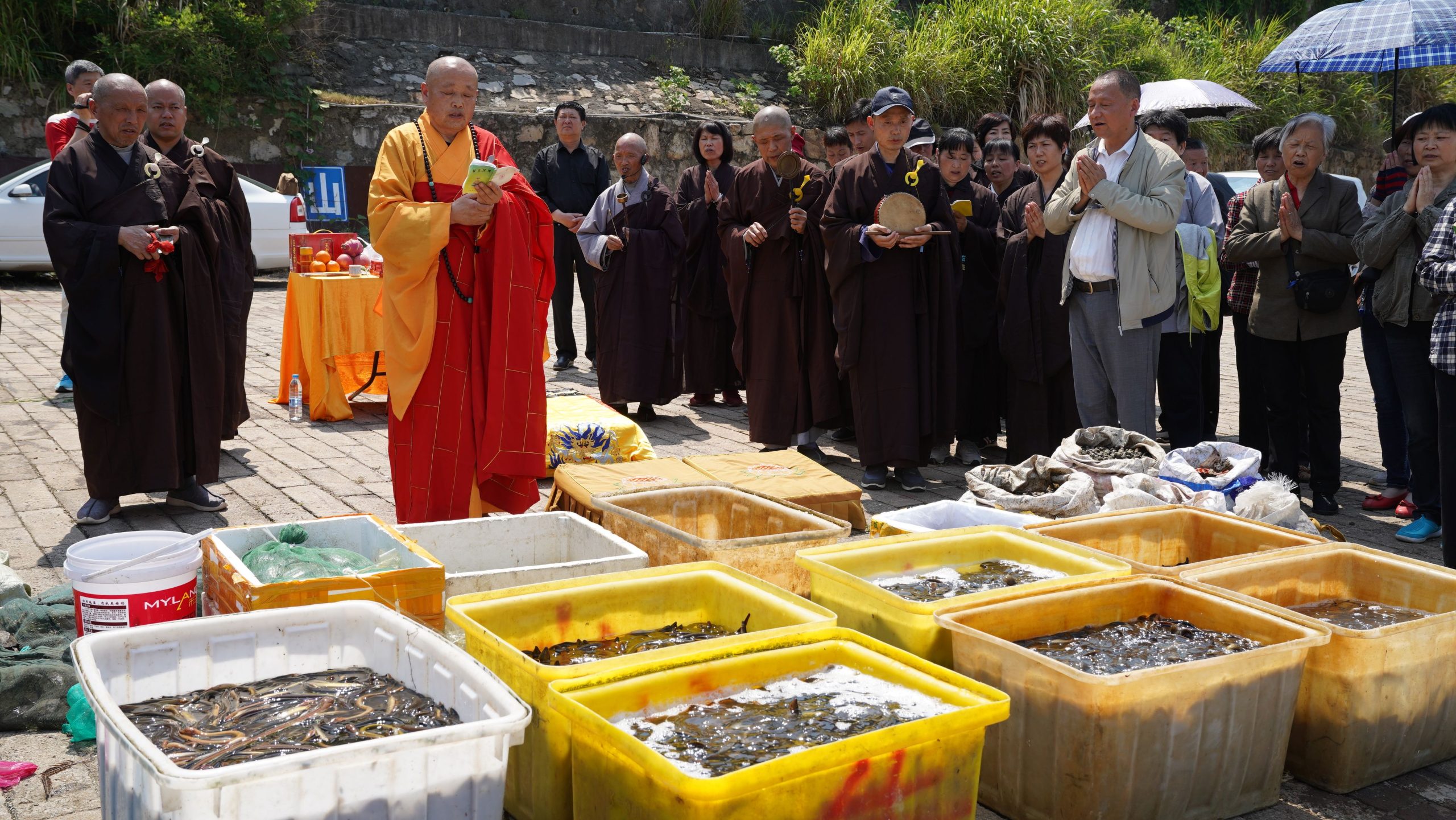 最简单的两种放生仪轨