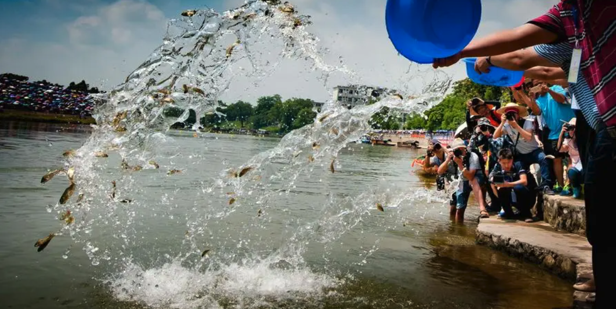 原来放生的功德这么大啊！